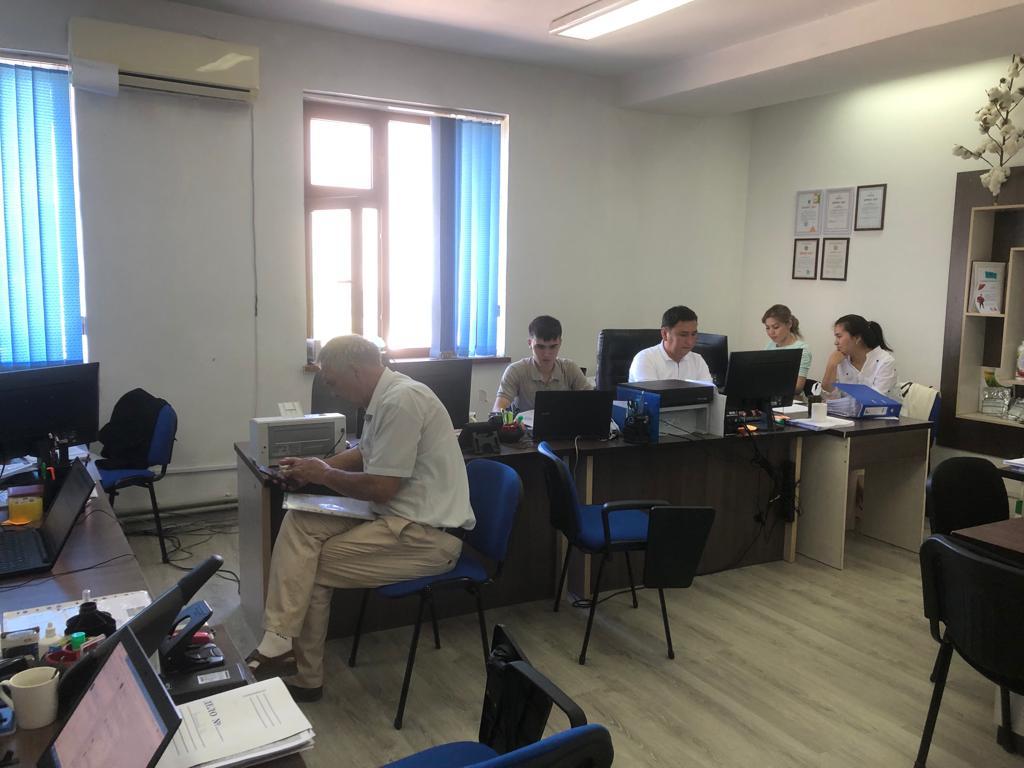 Жолаушылар тасымалы мен мал шаруашылығы: түркістандықтар қандай мақсатта жеңілдетілген несие алады