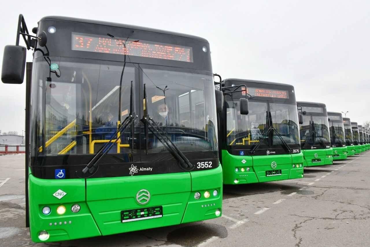 Отказ от создания новых муниципальных парков создаст конкурентный рынок перевозок