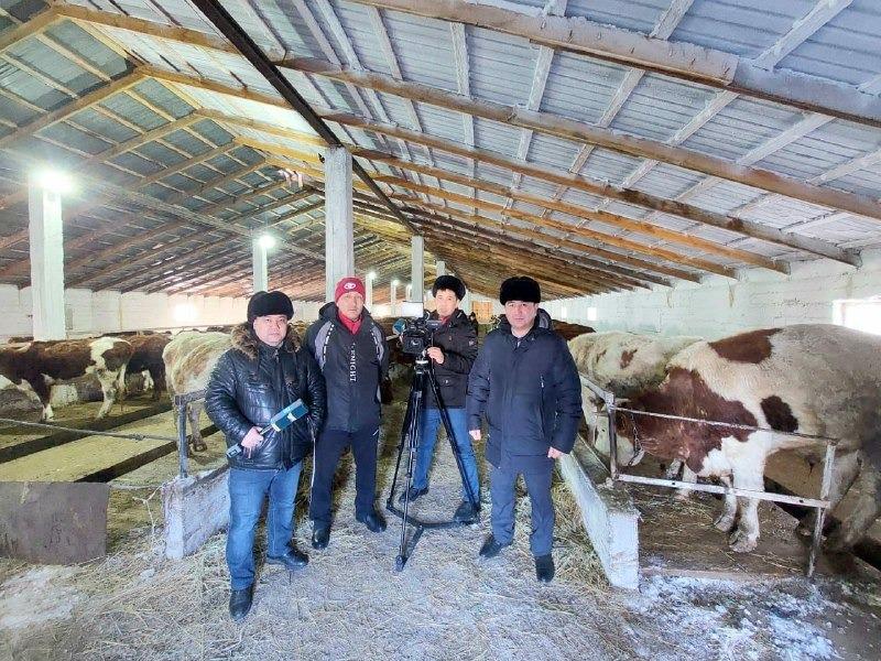 Поддержка сельских предпринимателей