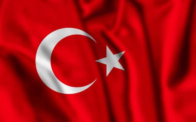 Совет международных экономических отношений Турции DEIK проводит сбор средств для пострадавших при землетрясении