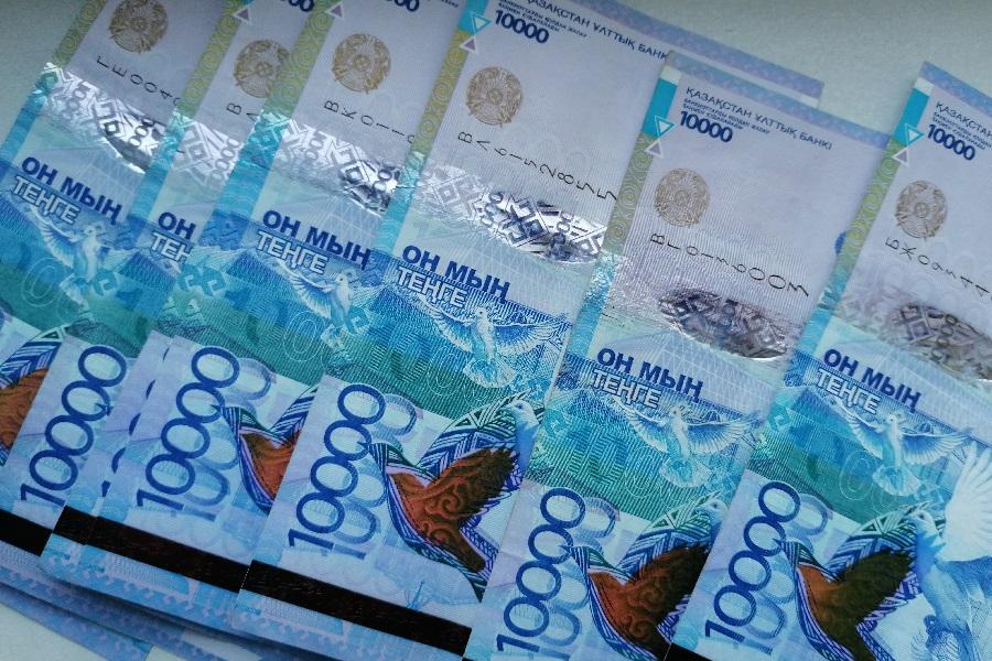 Кызылординский предприниматель не будет возвращать полученную субсидию 