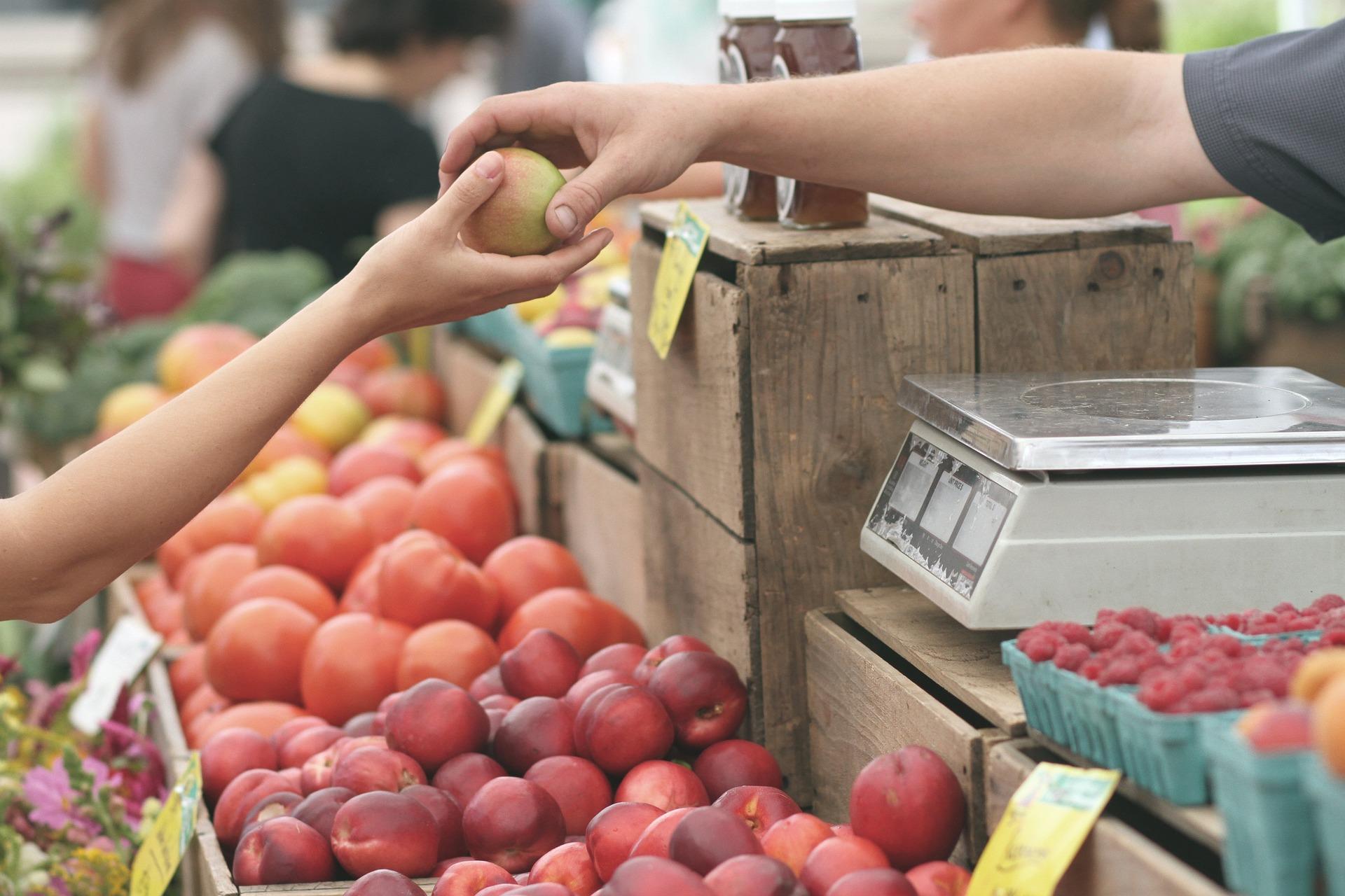 Яица, молоко, огурцы: какие сельхозпродукты подорожали в 2023 году