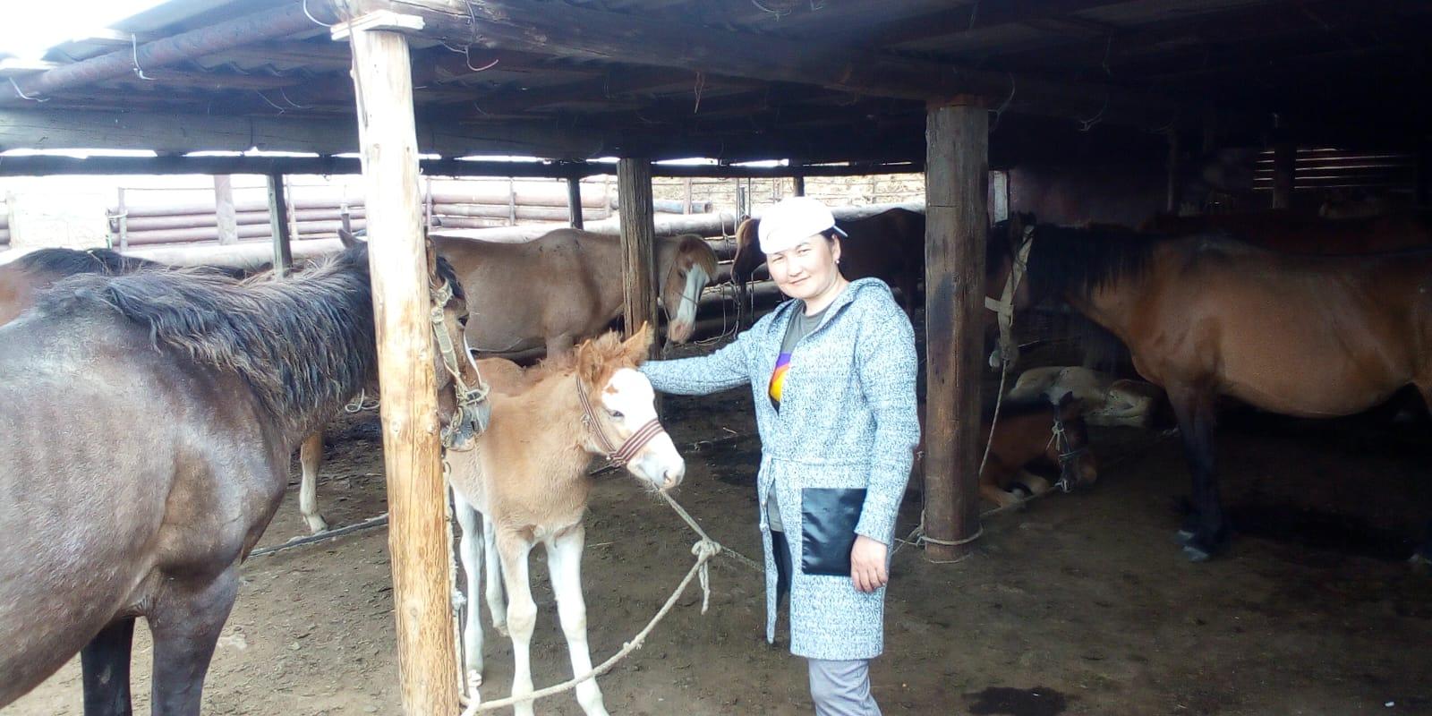 Битва «Е-шек» и национальных продуктов