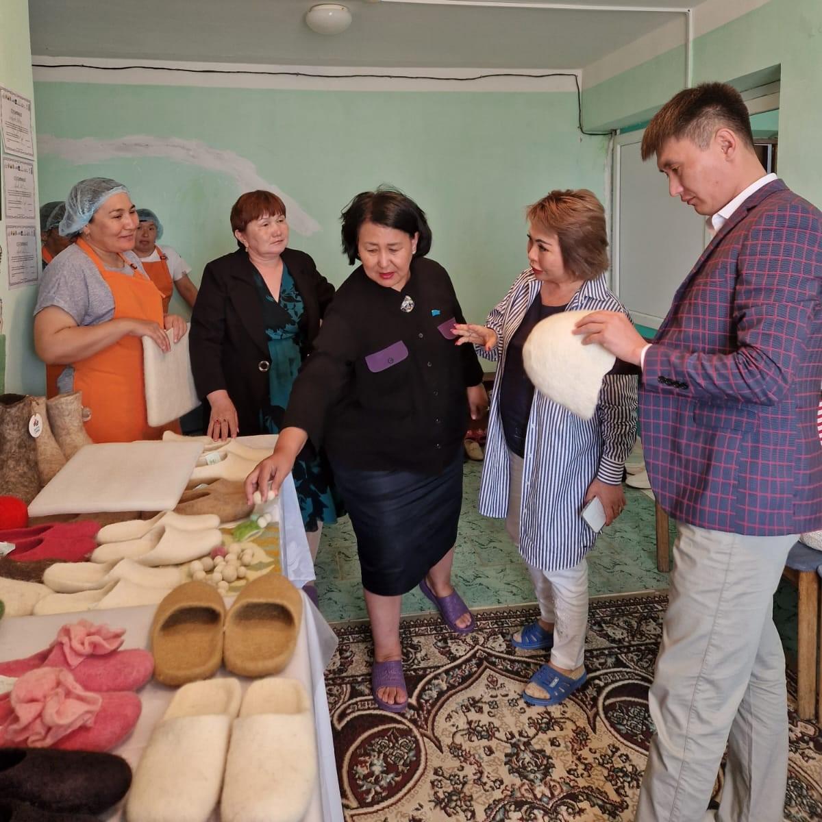 «Одно село—один продукт»: актюбинцы перенимают опыт войлоковаляния в соседнем ЗКО