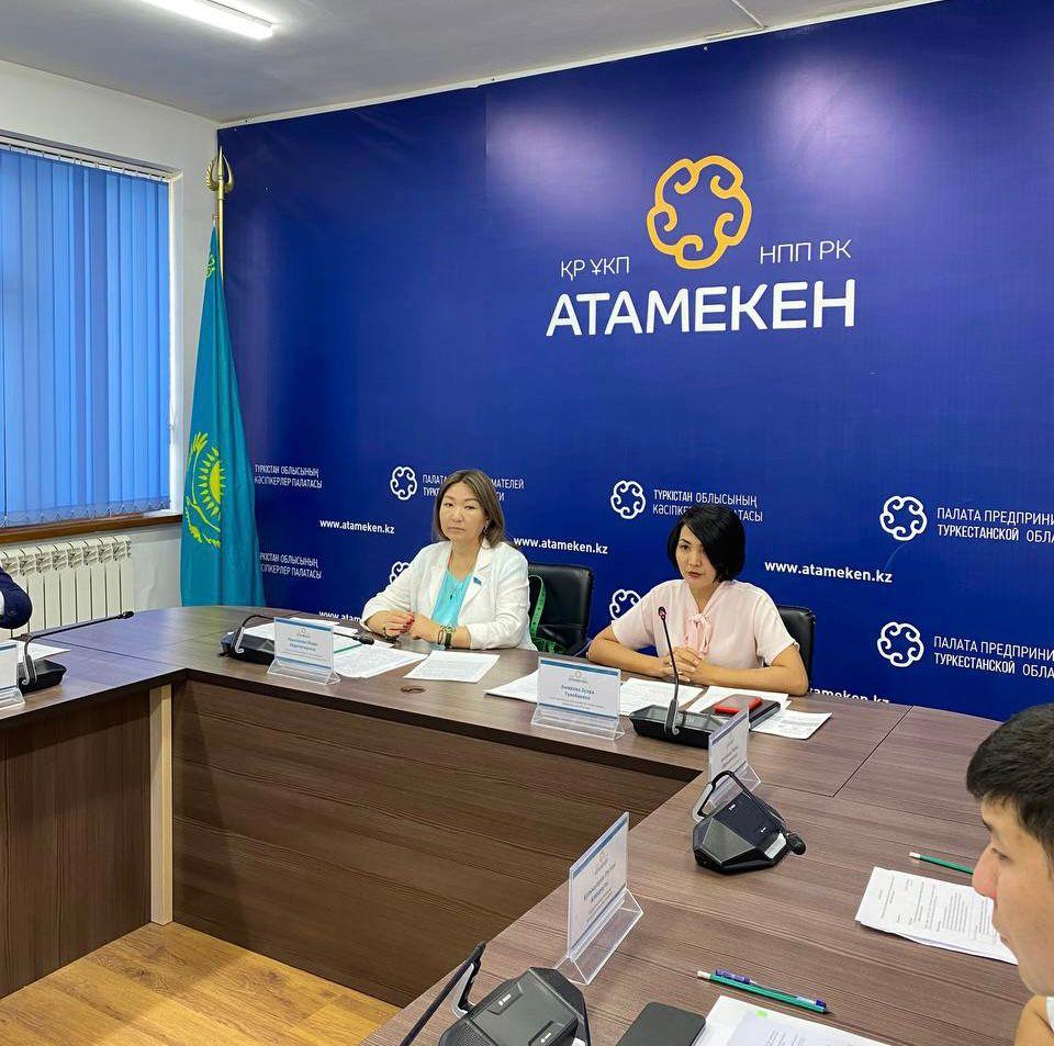 Түркістанда кәсіпкерлер бөлшек салықтың арнаулы салық режимі бойынша салықтық мөлшерлемесін төмендетуді сұрады