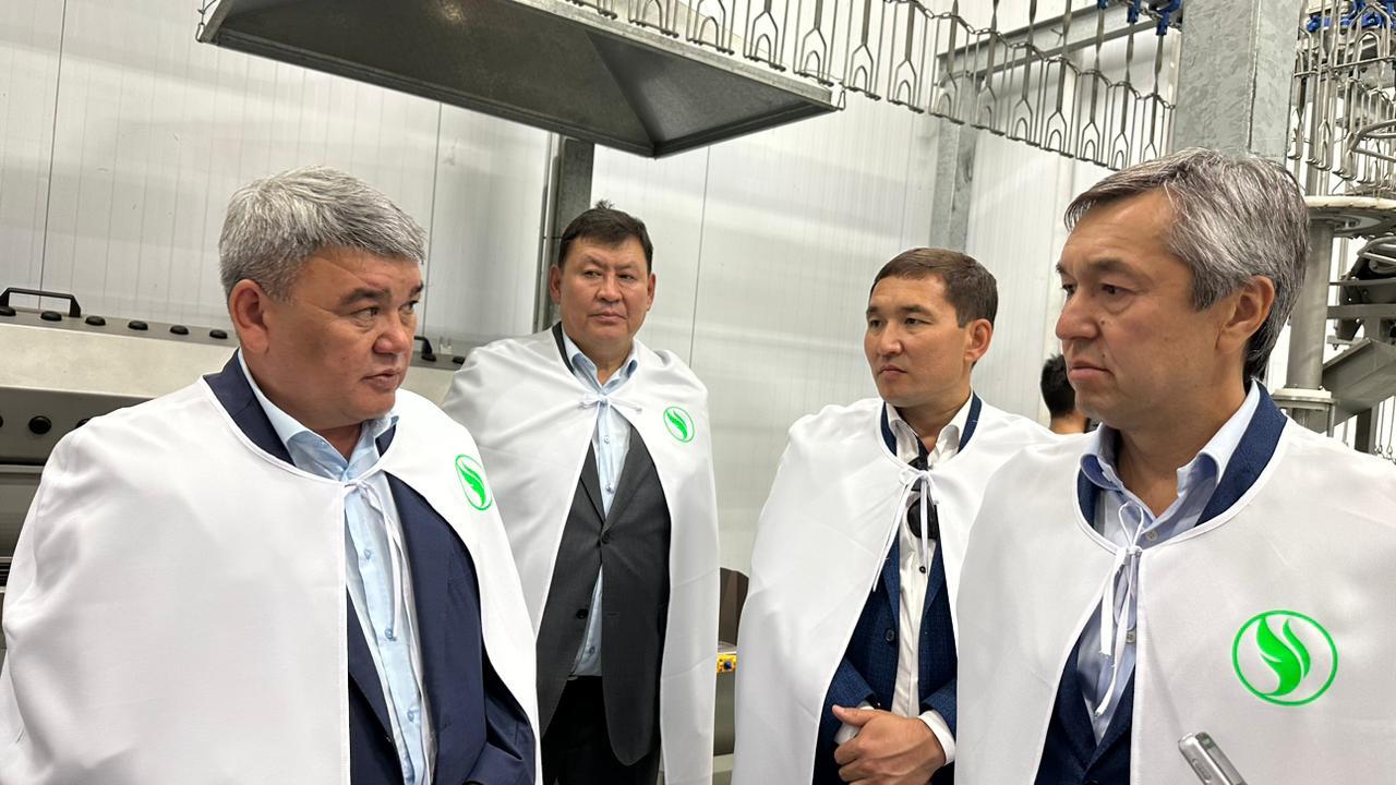 Школу животноводческой компетенции предлагают открыть в СКО