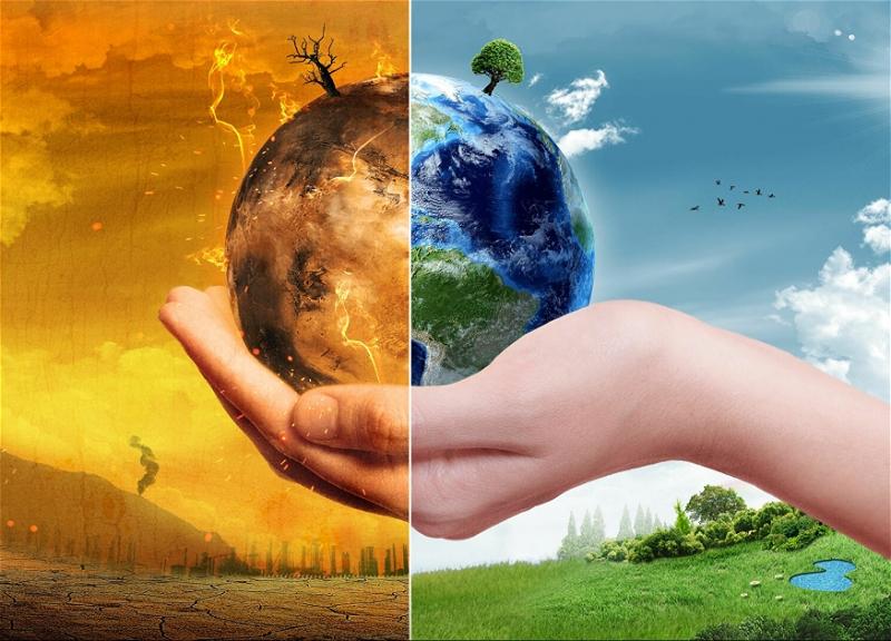 Предложения бизнеса к программе казахстанской делегации на COP 29 Баку обсуждены на площадке «Атамекен»