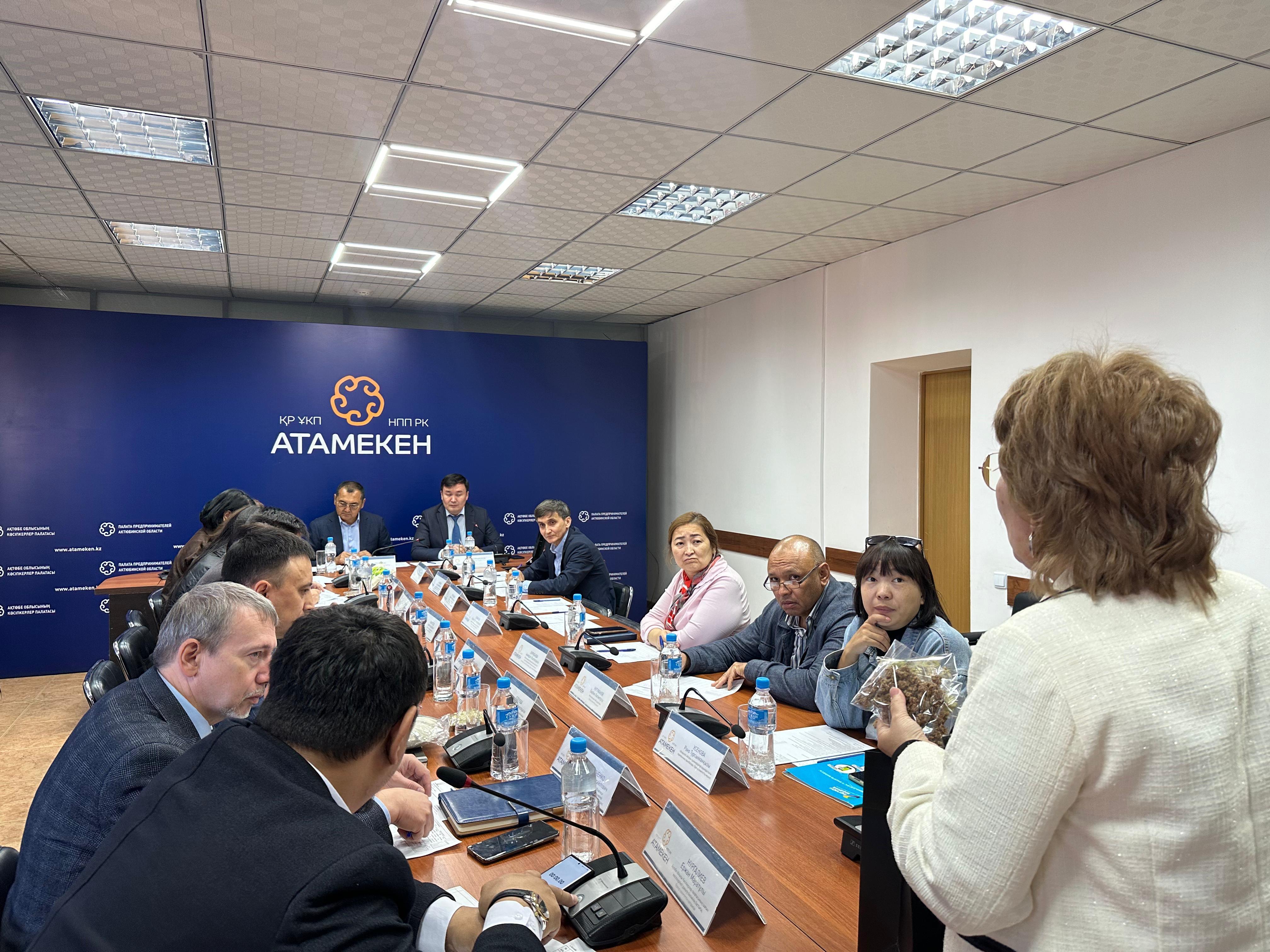 В Актобе определены победители проекта «Одно село - один продукт»