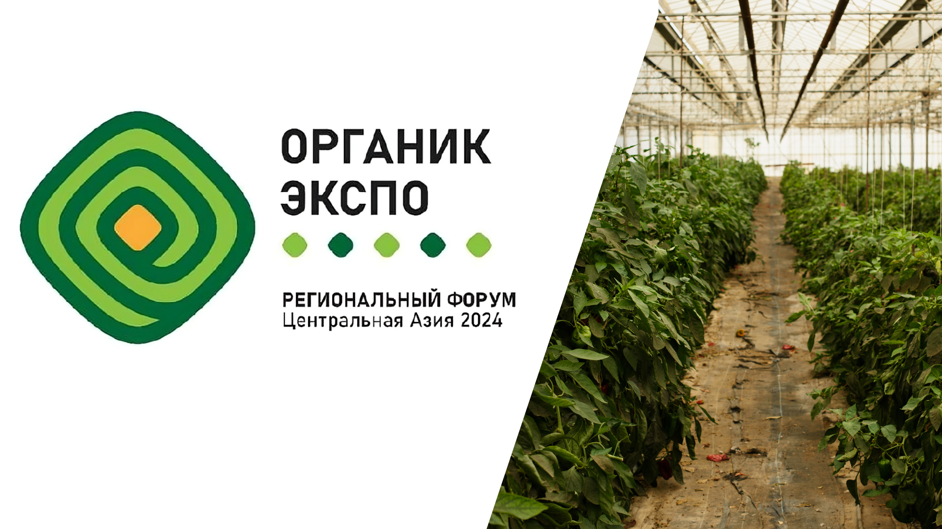 Органик ЭКСПО: Эксперты стран Центральной Азии встретились в Бишкеке