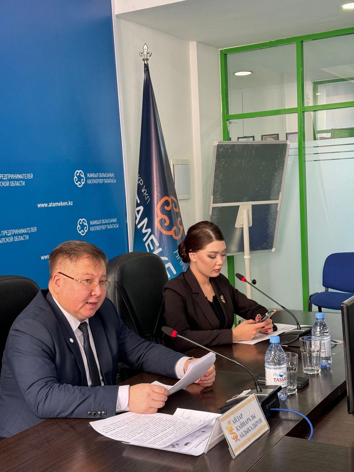 Поддержка бизнеса в Жамбылской области: итоги 2024 года и стратегические инициативы