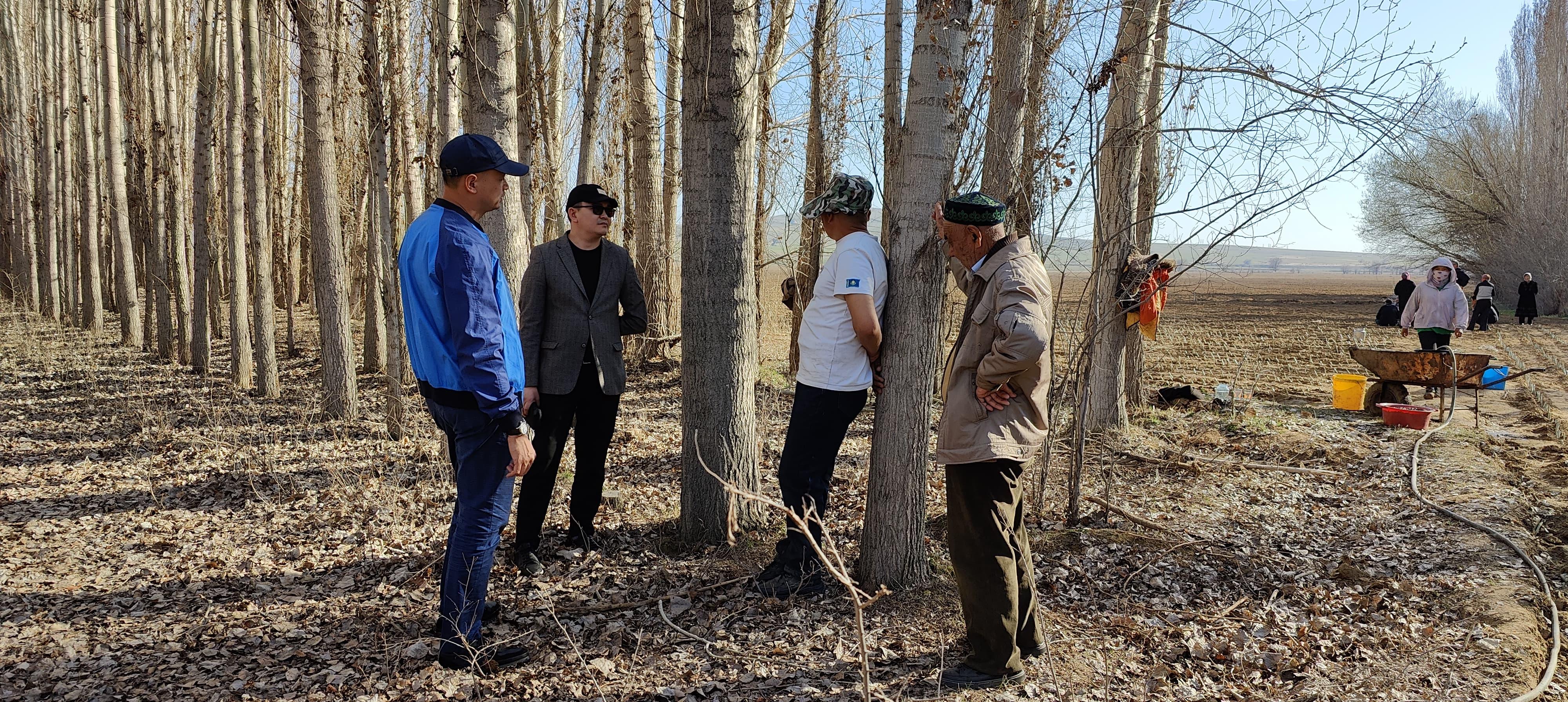 Тополиная роща Еркина Пидахмета 