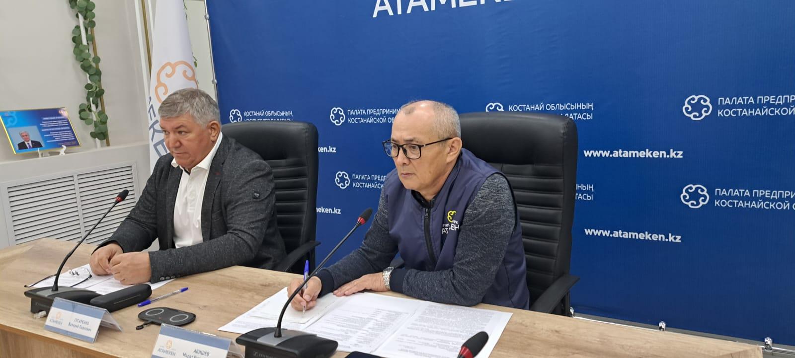 Электронная очередь на границе с РФ: костанайские перевозчики требуют отложить запуск CarGoRuqsat