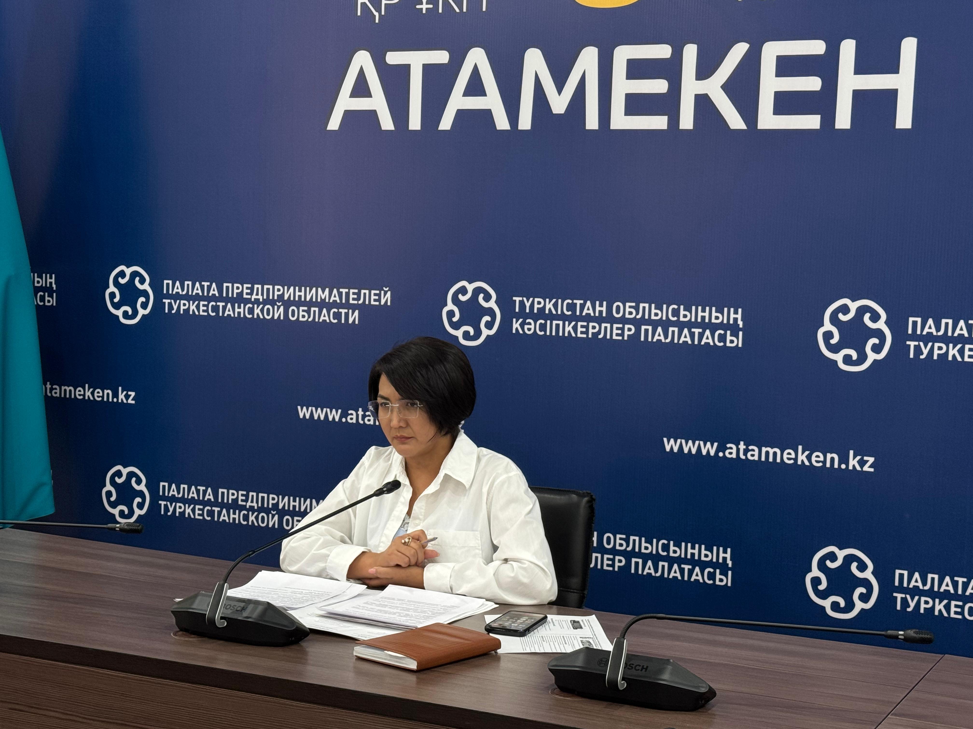 Халықаралық және республикалық маңызы бар жолдың бойынан бизнес нысандарын орналастыру мәселесі талқыланды