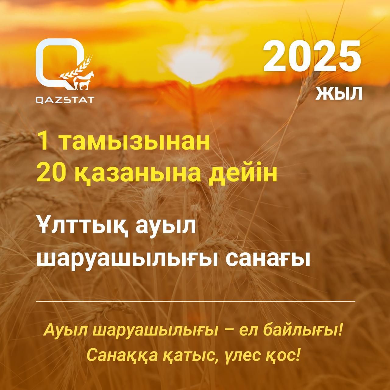 Сельскохозяйственная перепись: новая точка отсчета для агросектора Казахстана                     