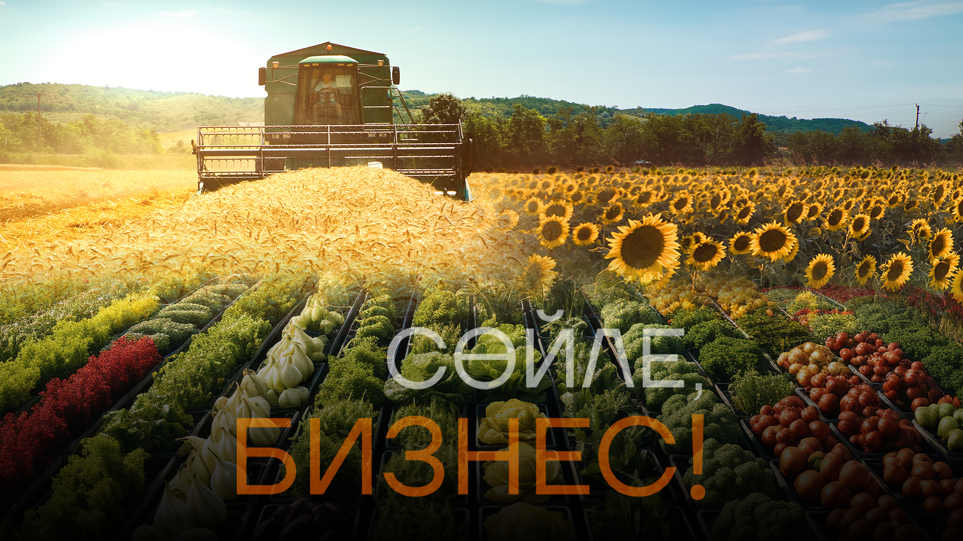 Сөйле, бизнес! Какой урожай соберет Казахстан в 2025 году?                      