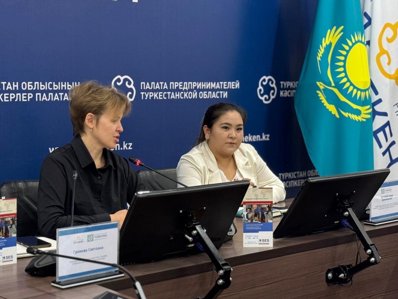 Түркістанда SES бағдарламасын таныстыру семинары өтті